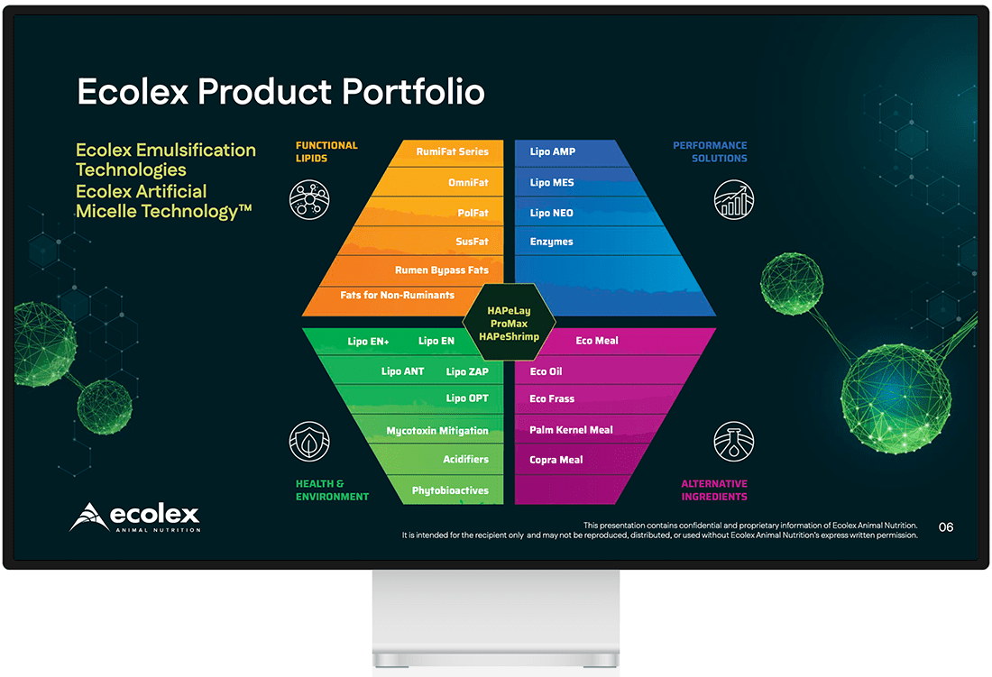 Ecolex Slider6